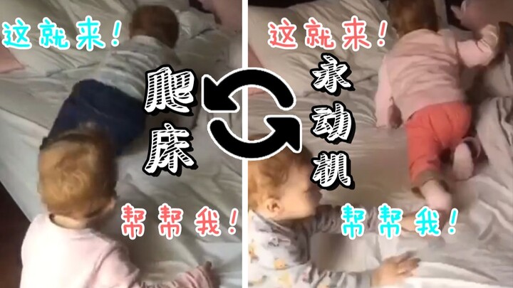 Caught in a “mystery” bed-climbing loop, these short-legged cuties keep helping each other without g