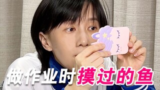 我做作业时摸过的鱼