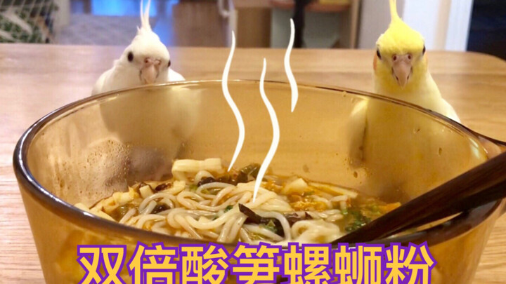 Saat Anxin pertama kali bertemu dengan mi keong bau banget, sang majikan langsung tersenyum lebar 【A