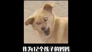 好心疼她家的电器，都干的冒烟了