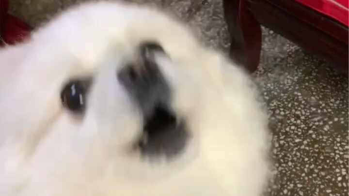 The kid is so anxious they can't even speak!