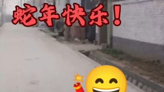 2025! ⚡️蛇年快乐!⚡️