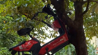 Keluarga semua, siapa yang ngerti nih. Pas pulang belanja sayur, gak sengaja nginjek pedal terlalu k