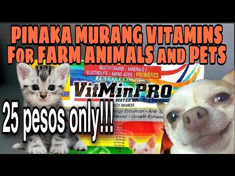 MURANG VITAMINS SA LAHAT NG URI NG HAYOP 25 PESOS LANG | Vit Min PRO