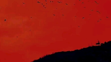 Tuan Itachi. Itu Anda bukan?