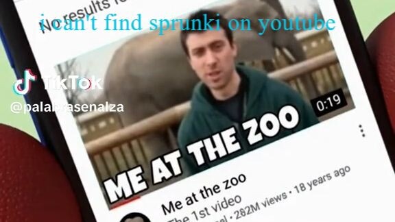 I can't find sprunki on youtube