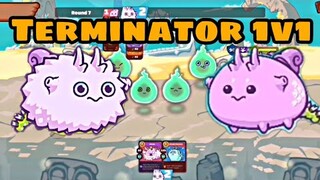 Axie Infinity : Terminator or Termination?