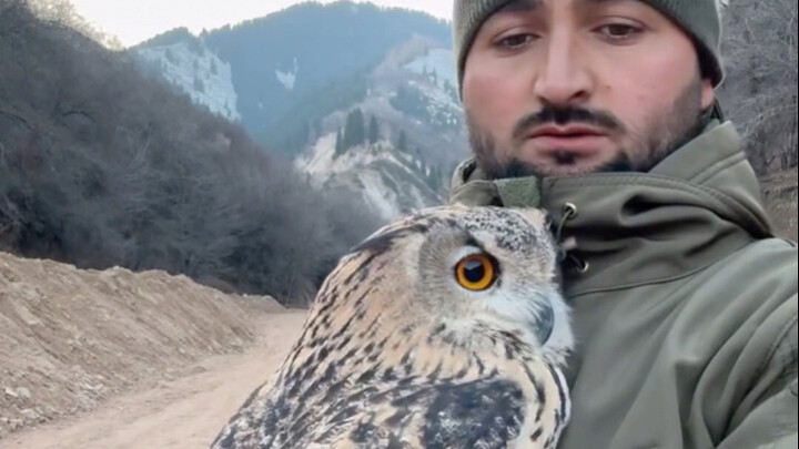 سمعت أن كثيرًا من الناس في الصين يحبون تربية الطيور.. ما رأيك في طيرتي؟ هل هي مطيعة؟