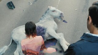 男人惊恐的发现，自己刚才撞死的野狗，竟然是一只神兽