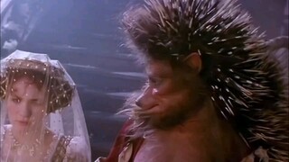 J 50岁女人生下一只刺猬 "