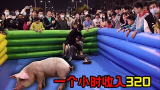20 yuan per pig catching challenge, hundreds of people watched the master challenge to catch pigs, a
