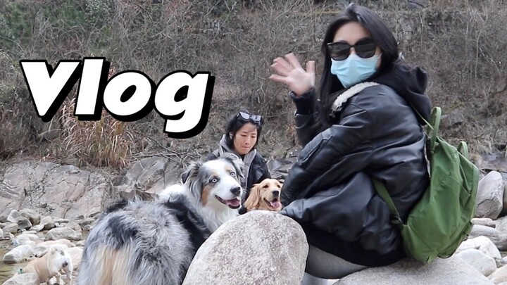 【VLOG】Tự làm móng tay/Đưa chó đi trượt tuyết/Những ngày nấu ăn thường nhật