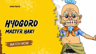 HYOGORO ADALAH GURU LUFFY | ONE PIECE