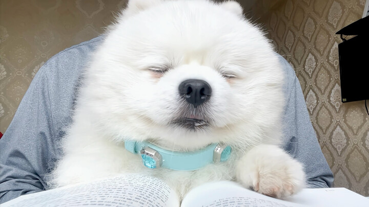 What are you babbling about?