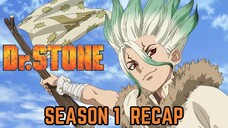 Dr. Stone Season 1 Recap : From Stone Age to Science Empire!