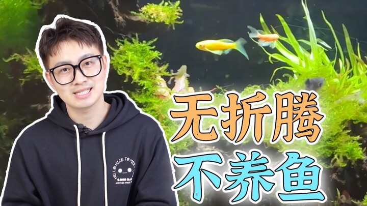 Bỏ ra cả nghìn tệ, tôi đã tạo nên một thế giới thu nhỏ!