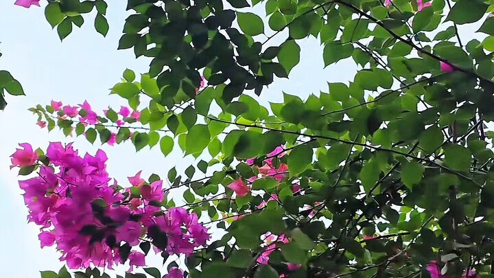 মিলনে তুম...