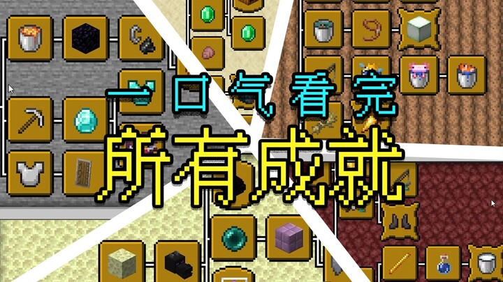 一口气看完Minecraft1.21.4所有的成就(进度)！含隐藏成就