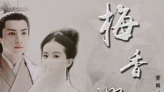 【Luo Yunxi×Liu Shishi】The plum blossoms are still fragrant