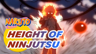 "This is the Height of Ninjutsu"