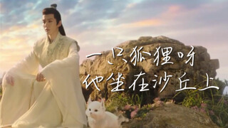 一只狐狸呀，他坐在沙丘上。