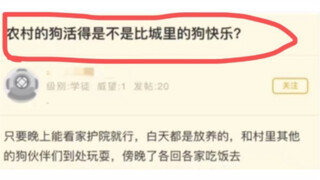 农村的狗活的是不是比城里的狗快乐？