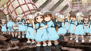 [Moe/Chữa bệnh] Platelet siêu dễ thương!