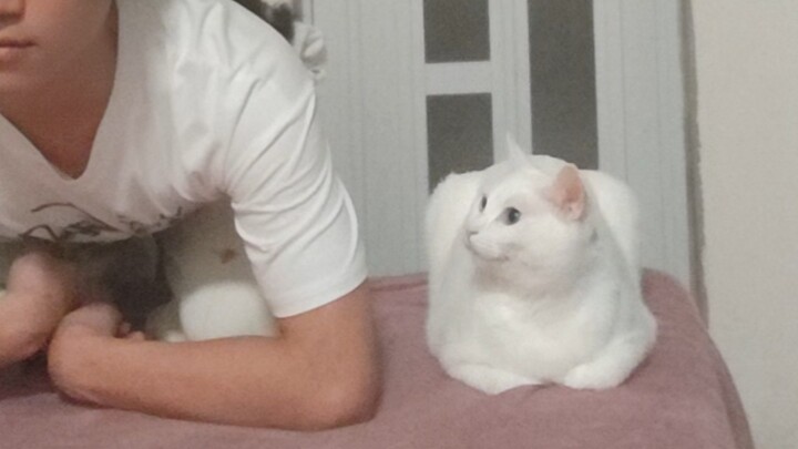 Teaser for the “Cat-Like Boy” Tutorial