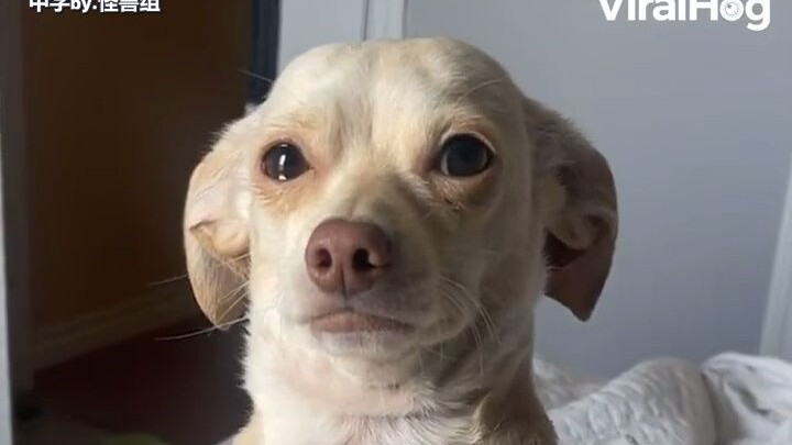 Con yêu đừng như thế, mẹ đau lòng lắm!