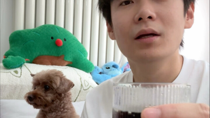 Nâng ly một chén, chẳng cần nói gì nữa, tất cả đều ở trong số 9 rồi! #GiảiThưởngHànhĐộngKhóHiểu #Chó