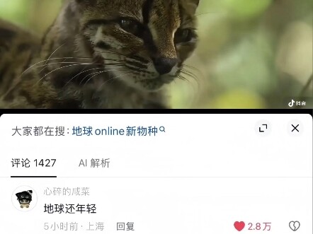 Earth Online ขอแจ้งเตือนว่า แมวป่าที่อาศัยอยู่ในป่าดิบชื้นของโบลิเวียได้รับการยืนยันแล้วว่าเป็นสายพั