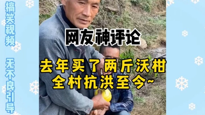 تعليق رائع من أحد المتابعين: اشتريت كيلوَين من اليوسفي العام الماضي، والقرية كلها ما زالت تقاوم الفي