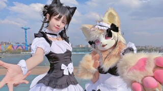 你也是猫猫吗？【うに】♡ 啵啵美 x咕咕