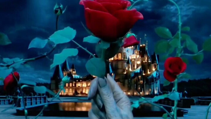 يا له من عقل قوي! عندما تتقمّص دور الأمير، الأمر مخيف فعلاً.