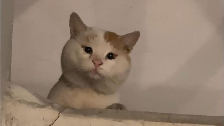 “You guys can’t handle it!!” ②