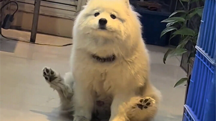 มัน… มันยังนั่งไขว้ขาอยู่ได้ยังไง!