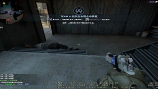 You reduced the Desert Eagle's ammunition output to 5 rounds.