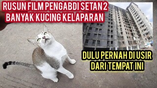 Astagfirullah Banyak Kucing Kelaparan Cari Makanan Di Tempat Sampah samping Rusun pengabdi Setan 2.!