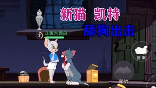 猫和老鼠手游：新母猫“凯特”