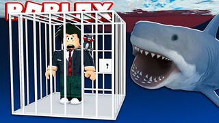 LOKIS NA FILA DE MERGULHAR COM TUBARÕES | Roblox - Shark Dive Line