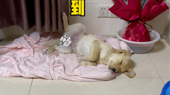 I'm very sorry. I shouldn't have.