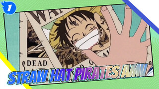 When Wanted Posters Of Straw Hat Pirates Are All Over The World_1