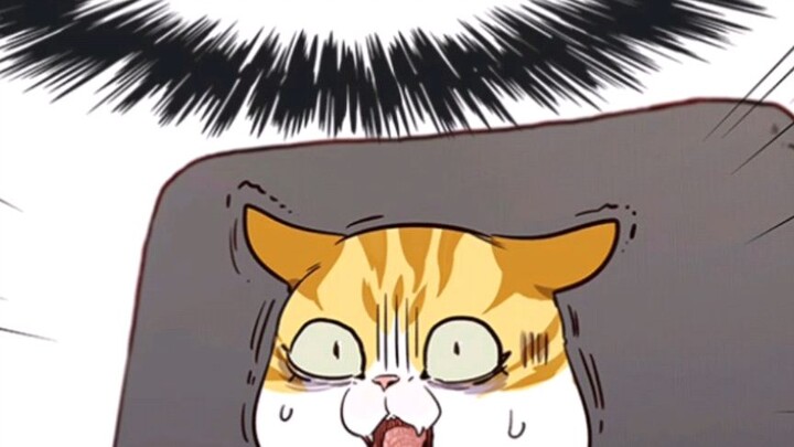Kayden break transform into cat.