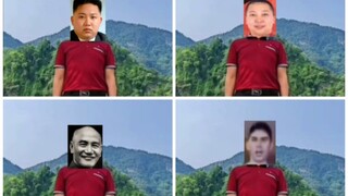 鸟儿摇但是大杂烩3.0