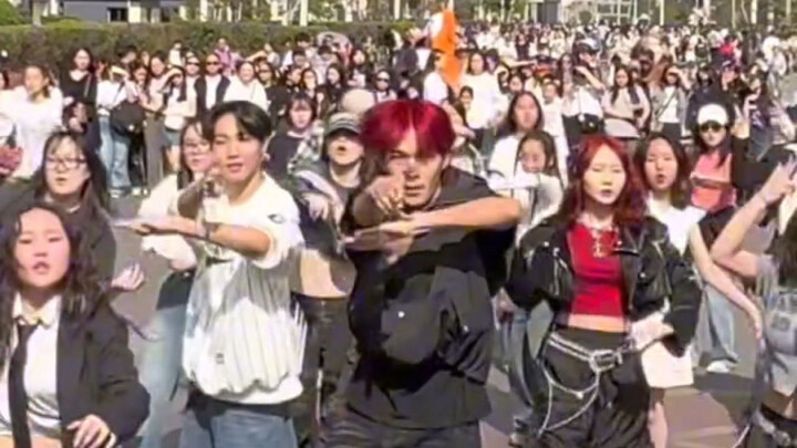 Hwang Hyun-jin's die-hard male fan who won't dance without his songs