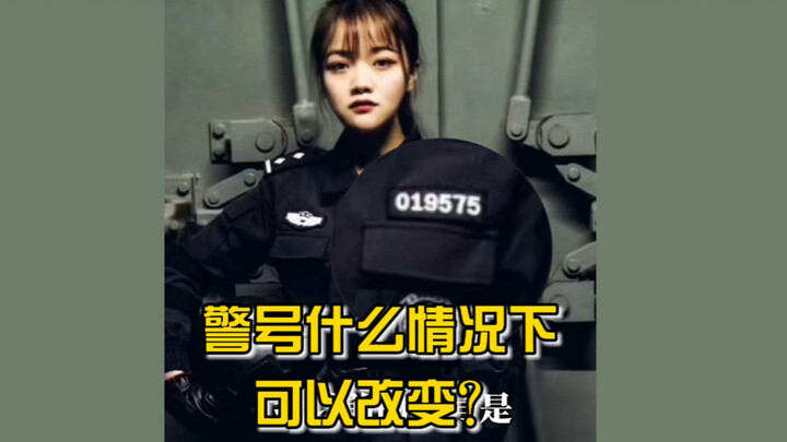 Dalam keadaan apa nomor polisi bisa diubah?