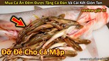 Mua Cá mập để nấu ăn, anh thanh niên Bất Ngờ được Tặng Kèm Cả Ổ Cá Con || Review Giải Trí Đời Sống