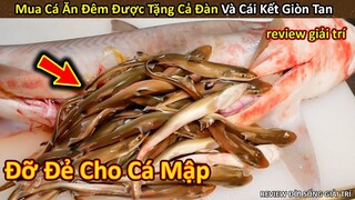 Mua Cá mập để nấu ăn, anh thanh niên Bất Ngờ được Tặng Kèm Cả Ổ Cá Con || Review Giải Trí Đời Sống