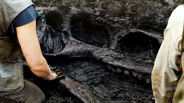 هل من الممكن أن تكون هذه السلالة العملاقة قد وُجدت بالفعل؟