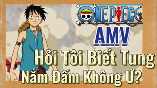 [Đảo Hải Tặc] AMV | Hỏi Tôi Biết Tung Nắm Đấm Không Ư?